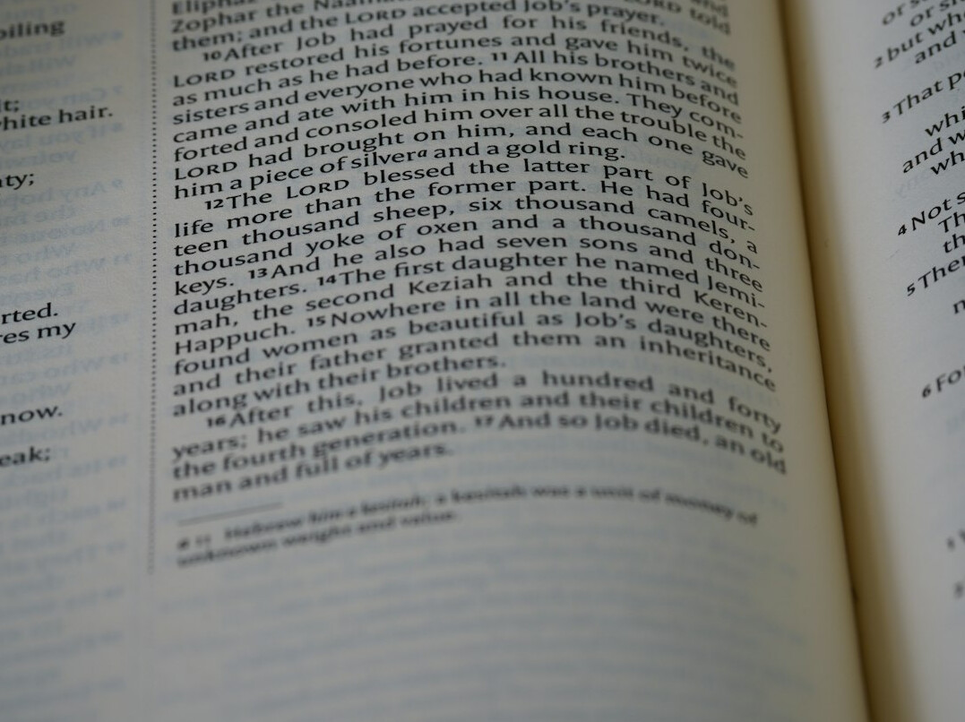 red herring clues in book